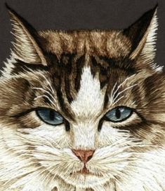 a drawing of a cat with blue eyes and long whiskers on it's face