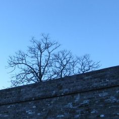 a clock on the side of a brick wall with trees in the background at dusk