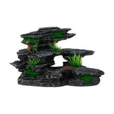 an aquarium with rocks and plants growing out of the top, on a white background