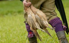 a person holding two dead birds in their hands while walking through the grass on a sunny day