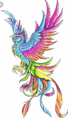 a drawing of a colorful bird with wings