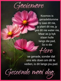 some pink flowers on a black background with the words gesedie moot dag