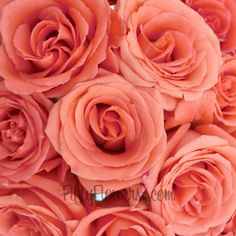 a bouquet of pink roses is shown in this image