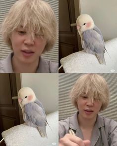 a boy with blonde hair and a bird on his shoulder is shown in four different pictures