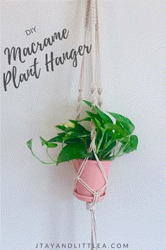 a plant hanging from a rope with the words diy macrame plant hanger