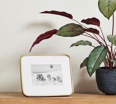 a potted plant sitting on top of a wooden table next to a framed photo