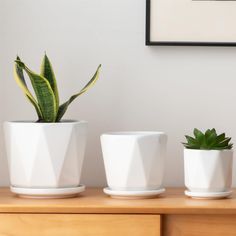 three potted plants are sitting on a wooden shelf in front of a white wall