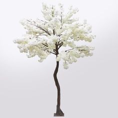 a white tree with lots of flowers on it's branches in front of a gray background