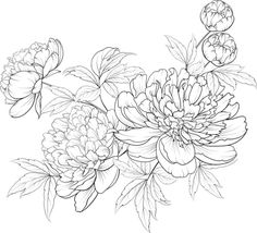 a black and white drawing of flowers