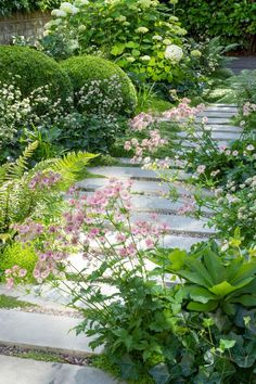 a garden with lots of plants and flowers