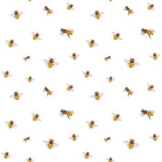 a bunch of bees that are flying in the air on a white wallpaper background