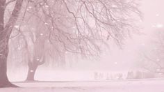 a snowy scene with trees and snow flakes