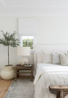 a bedroom with white walls and wooden flooring has a tree in the corner on the bed