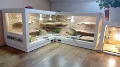 a fish tank in the middle of a room with two aquariums on each side