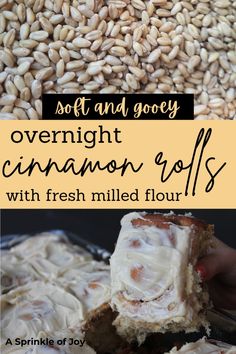 This recipe for homemade overnight cinnamon rolls is sure to be a winner.  It uses home milled flour and creates soft, fluffy, and gooey cinnamon rolls.  Prep everything the night before and bake in the morning. Fresh Milled Flour Pie Crust Recipe, Fresh Milled Cinnamon Rolls, Healthy Cinnamon Roll Icing, Fresh Milled Flour Cinnamon Rolls, Work Carry In Food Ideas, Home Milled Flour Recipes, Freshly Milled Flour Recipes, Milled Flour Recipes, Fresh Milled Flour Recipes