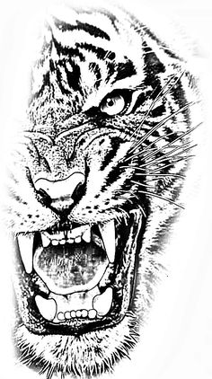 a black and white drawing of a tiger's face with it's mouth open