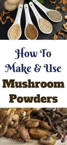 how to make and use mushroom powders