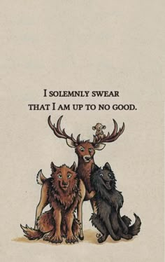 an image of three animals with the words i solemnly swear that i am up to no good