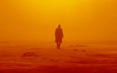 a person standing in the middle of an orange sky