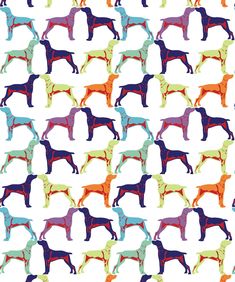 an image of colorful dog silhouettes on a white background for wallpaper or fabric