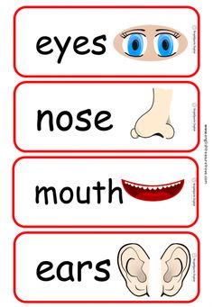 three different types of eyes are shown in red and white strips with the words, nose, mouth, ears