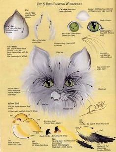 an illustrated book with cats and birds on the pages, including one cat's face