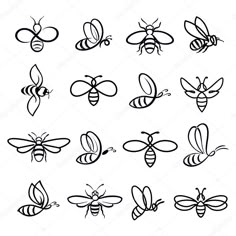 a set of hand drawn honeybees in different shapes and sizes on white background