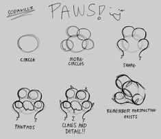 how to draw paws with different shapes and sizes