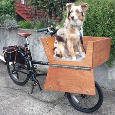 a dog sitting in the back of a bike with a wooden box attached to it