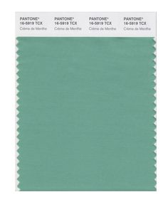 Amazon.com: PANTONE SMART 16-5907X Color Swatch Card, Granite Green: Home Improvement. Creme De Menthe green. Less muted. Seafoam Green Pantone, Moss Green Pantone, Pantone Green Shades, Green Colour Pantone, Color Swatch Green, Pantone Pistachio Green, Green House Paint, Soft Summer Palette, Soft Summer Colors