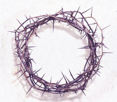 a crown of thorns on top of a white surface