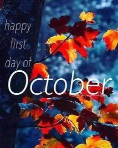 an image of the words happy first day of october on a background of autumn leaves