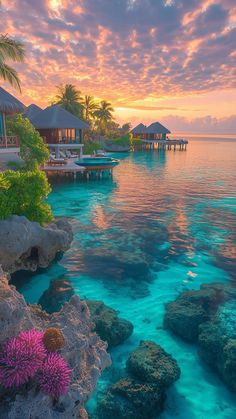 the water is crystal blue and clear as the sun sets over an island with palm trees