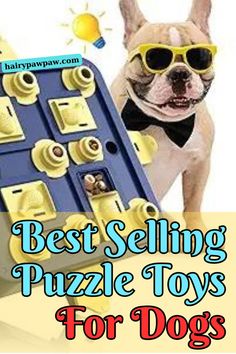 a small dog wearing sunglasses next to a puzzle toy with the words best selling puzzle toys for dogs