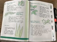 an open notebook with plants and writing on it