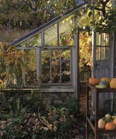 an old greenhouse with pumpkins and gourds in the foreground, surrounded by autumn foliage