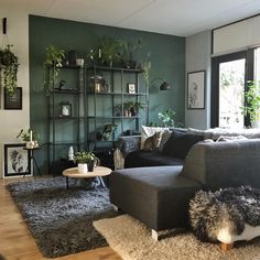 a living room filled with furniture and lots of plants on the wall above it's shelves