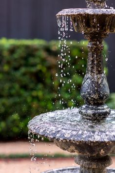 a fountain with water spewing out of it's sides in a garden