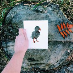 a person holding up a piece of paper with an image of a bird on it