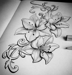 a drawing of flowers on paper with a pen