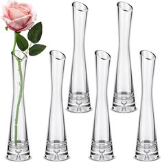 four tall vases with a single rose in them