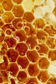 honey cells with water droplets on them