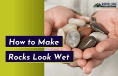 How to Make Rocks Look Wet? (6 EASY Tips) Resin Rocks Diy, How To Polish Rocks By Hand, How To Make Rocks Shiny, How To Clean Rocks, Polishing Rocks, Rock Weaving