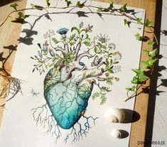 a drawing of a human heart surrounded by plants and flowers on a piece of paper