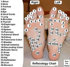 Here’s Why It’s so Important For You to Massage Your Feet Before Going to Bed  Idk if this works like it says it will, but it felt really good so... Autogenic Training, Reflexology Chart, Reflexology Massage, Foot Reflexology, Reflexology, Health Info, Health And Beauty Tips, Acupressure, Massage Therapy