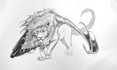 a pencil drawing of a lion with its tail curled up