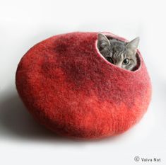 a cat peeks out from behind a red felt ball with a kitten in it