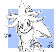 a drawing of sonic the hedge