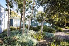 the house is surrounded by trees and shrubs