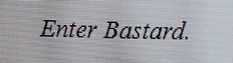 the word'every boston'is written in black on a white meshed screen